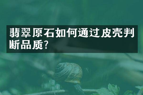 翡翠原石如何通过皮壳判断品质？