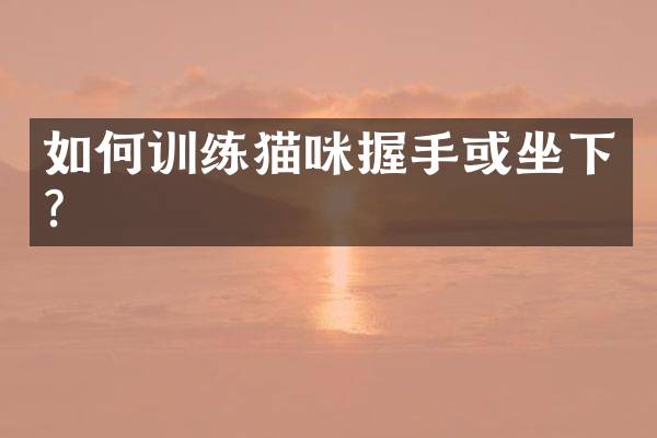 如何训练猫咪握手或坐下？