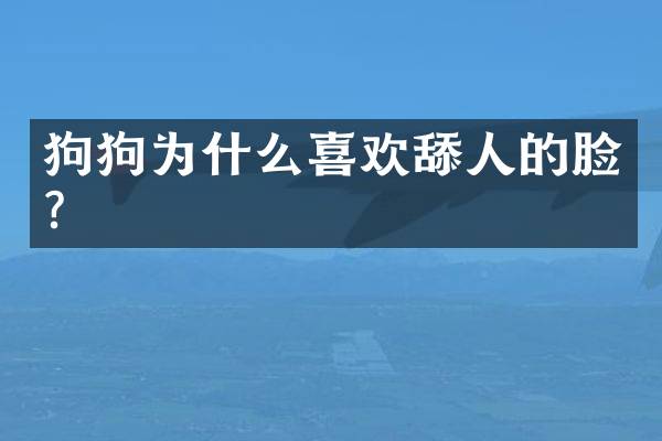 狗狗为什么喜欢舔人的脸？