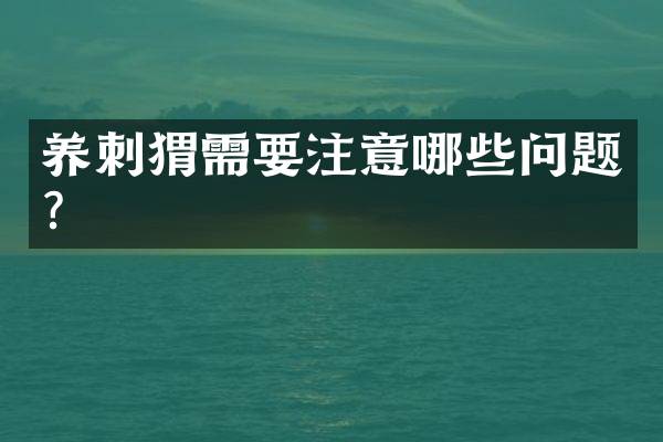养刺猬需要注意哪些问题？