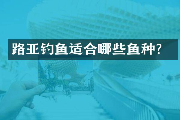 路亚钓鱼适合哪些鱼种？