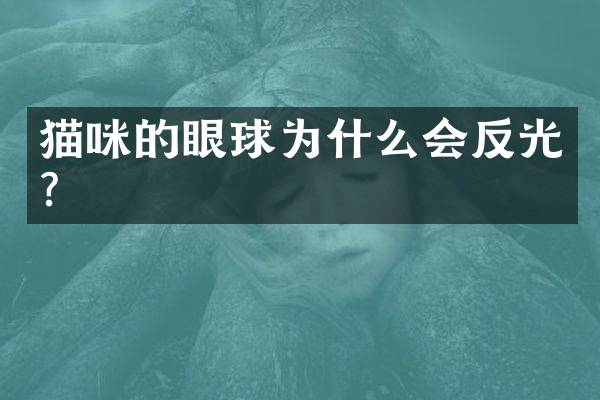 猫咪的眼球为什么会反光？