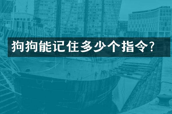 狗狗能记住多少个指令？