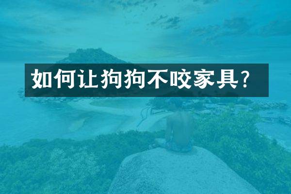 如何让狗狗不咬家具？