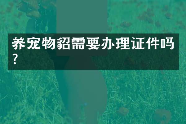 养宠物貂需要办理证件吗？