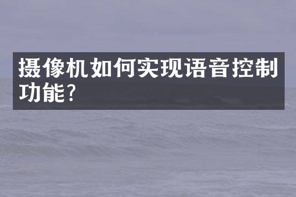 摄像机如何实现语音控制功能？