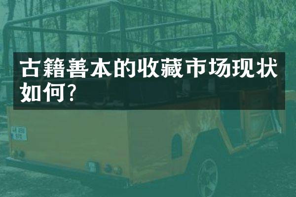 古籍善本的收藏市场现状如何？