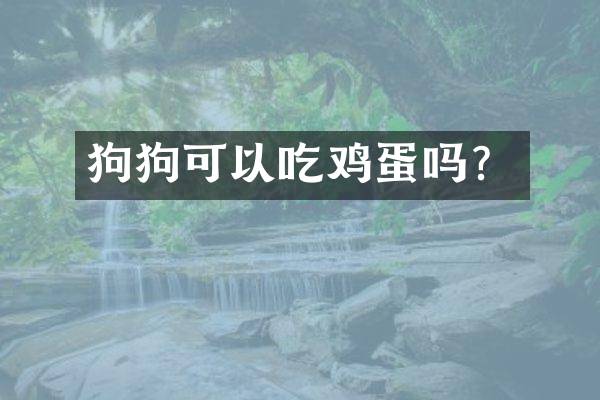 狗狗可以吃鸡蛋吗？