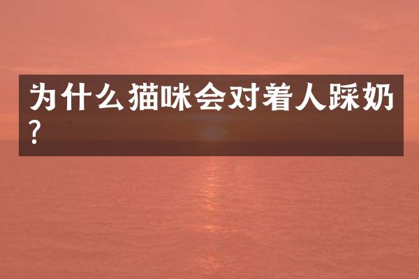 为什么猫咪会对着人踩奶？