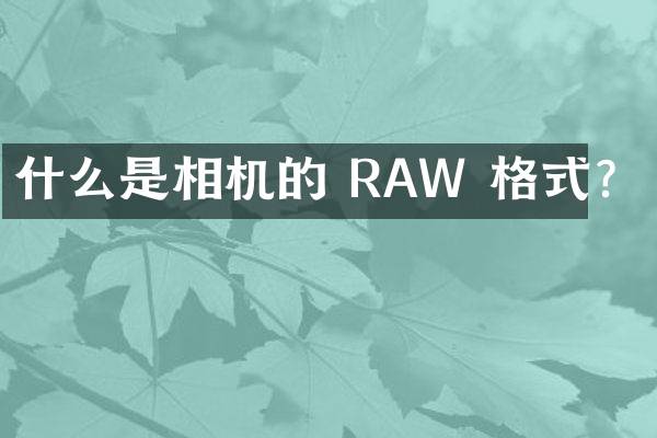 什么是相机的 RAW 格式？