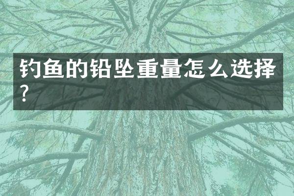钓鱼的铅坠重量怎么选择？