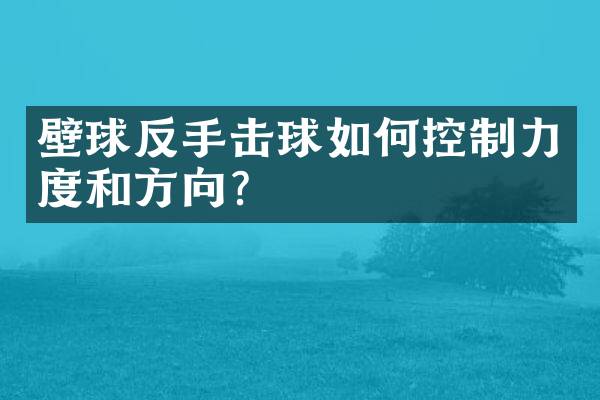 壁球反手击球如何控制力度和方向？