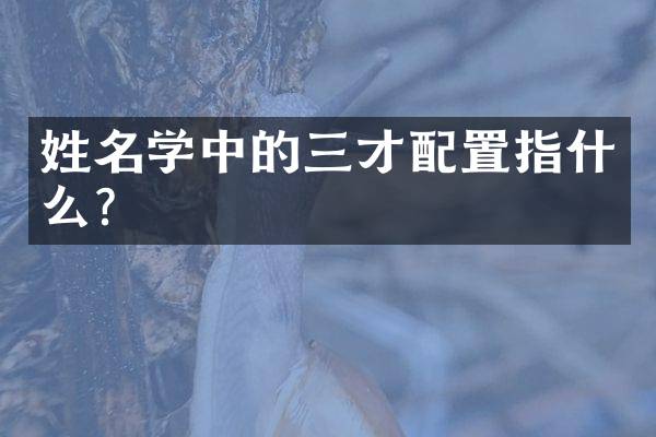姓名学中的三才配置指什么？