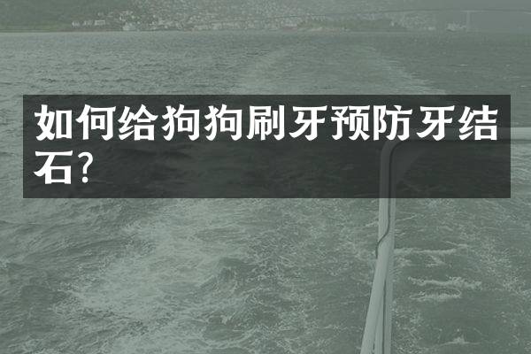 如何给狗狗刷牙预防牙结石？