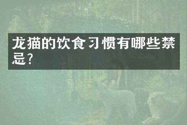 龙猫的饮食习惯有哪些禁忌？