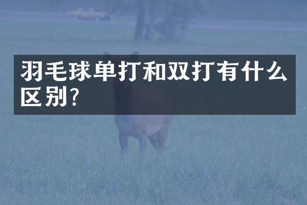 羽毛球单打和双打有什么区别？