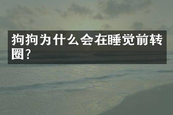 狗狗为什么会在睡觉前转圈？