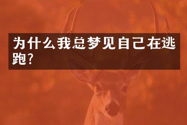 为什么我总梦见自己在逃跑？