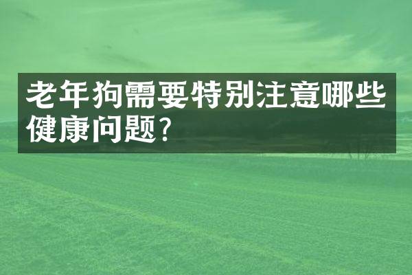 老年狗需要特别注意哪些健康问题？