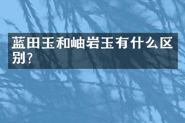 蓝田玉和岫岩玉有什么区别？