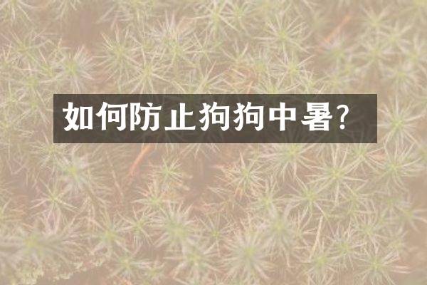 如何防止狗狗中暑？