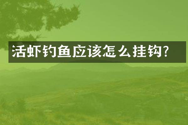 活虾钓鱼应该怎么挂钩？