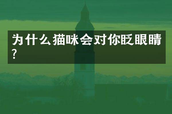 为什么猫咪会对你眨眼睛?