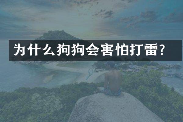 为什么狗狗会害怕打雷？