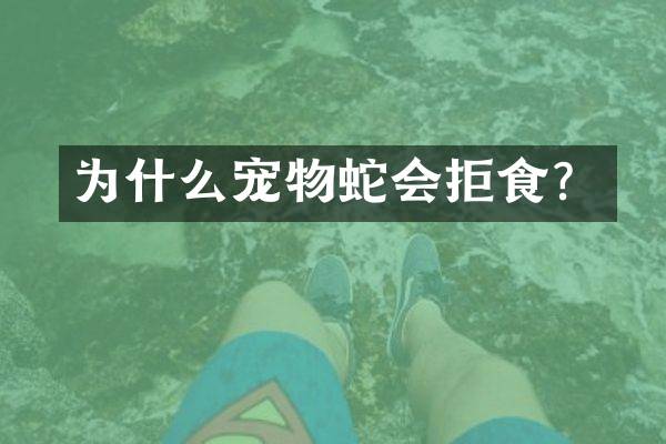 为什么宠物蛇会拒食？