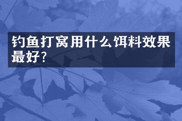 钓鱼打窝用什么饵料效果最好？