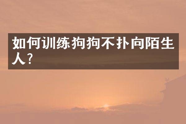如何训练狗狗不扑向陌生人？
