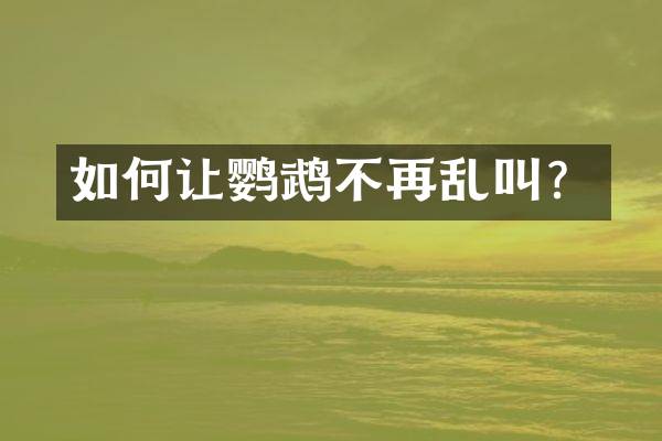 如何让鹦鹉不再乱叫？