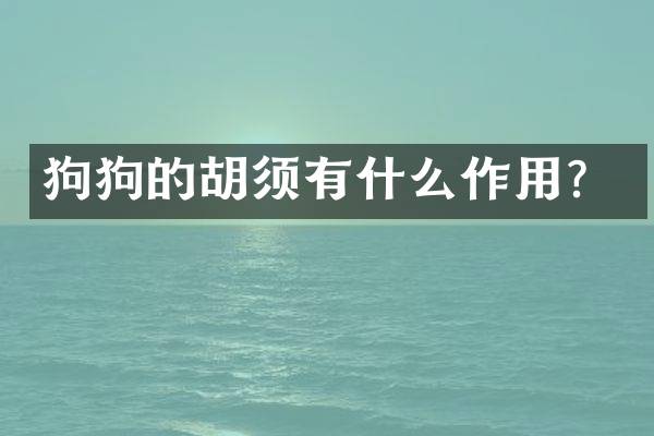 狗狗的胡须有什么作用？