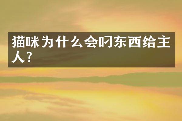 猫咪为什么会叼东西给主人？