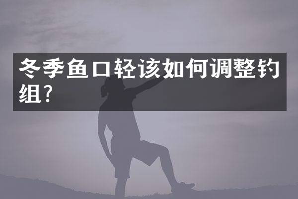 冬季鱼口轻该如何调整钓组？