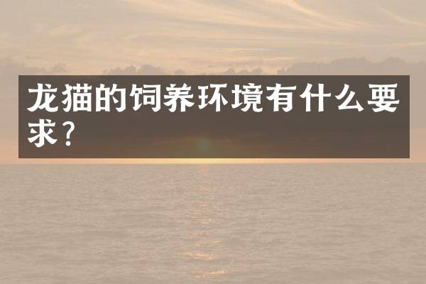 龙猫的饲养环境有什么要求？