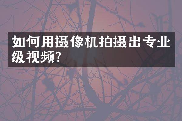 如何用摄像机拍摄出专业级视频？