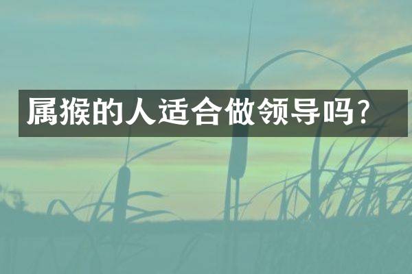 属猴的人适合做领导吗？