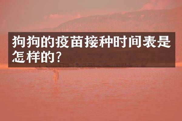 狗狗的疫苗接种时间表是怎样的？