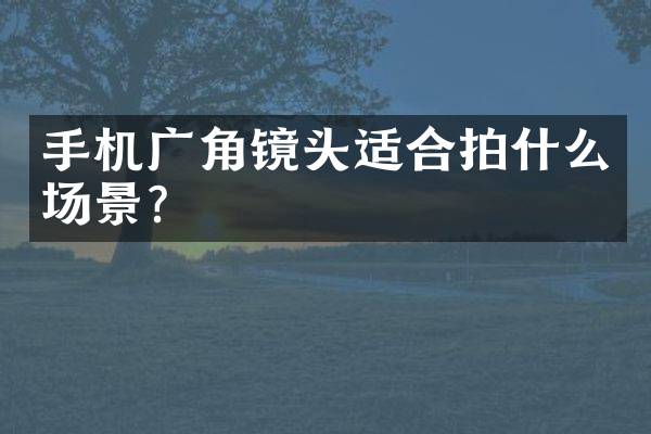 手机广角镜头适合拍什么场景？