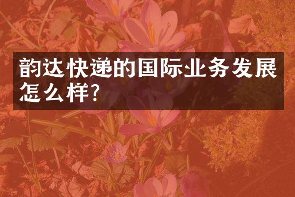 韵达快递的国际业务发展怎么样？