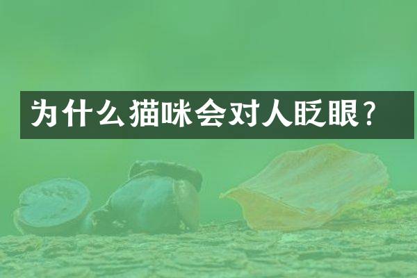 为什么猫咪会对人眨眼？