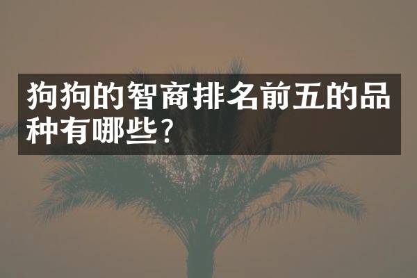 狗狗的智商排名前五的品种有哪些？