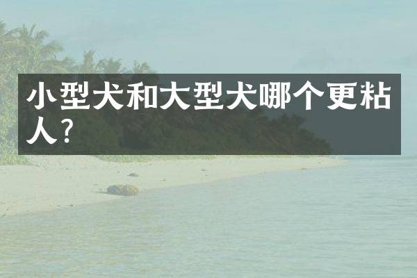 小型犬和大型犬哪个更粘人？