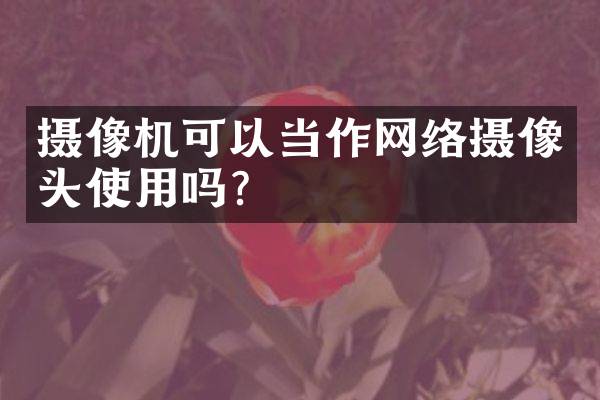 摄像机可以当作网络摄像头使用吗？