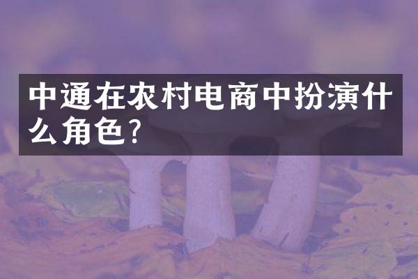 中通在农村电商中扮演什么角色？