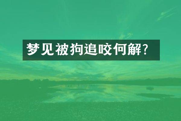 梦见被狗追咬何解？