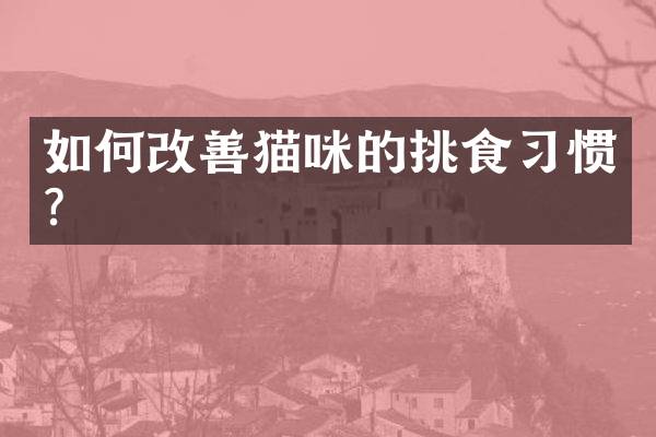 如何改善猫咪的挑食习惯？
