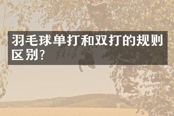 羽毛球单打和双打的规则区别？