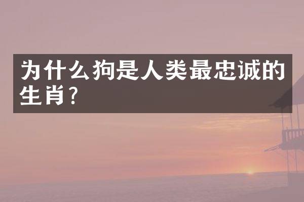 为什么狗是人类最忠诚的生肖？